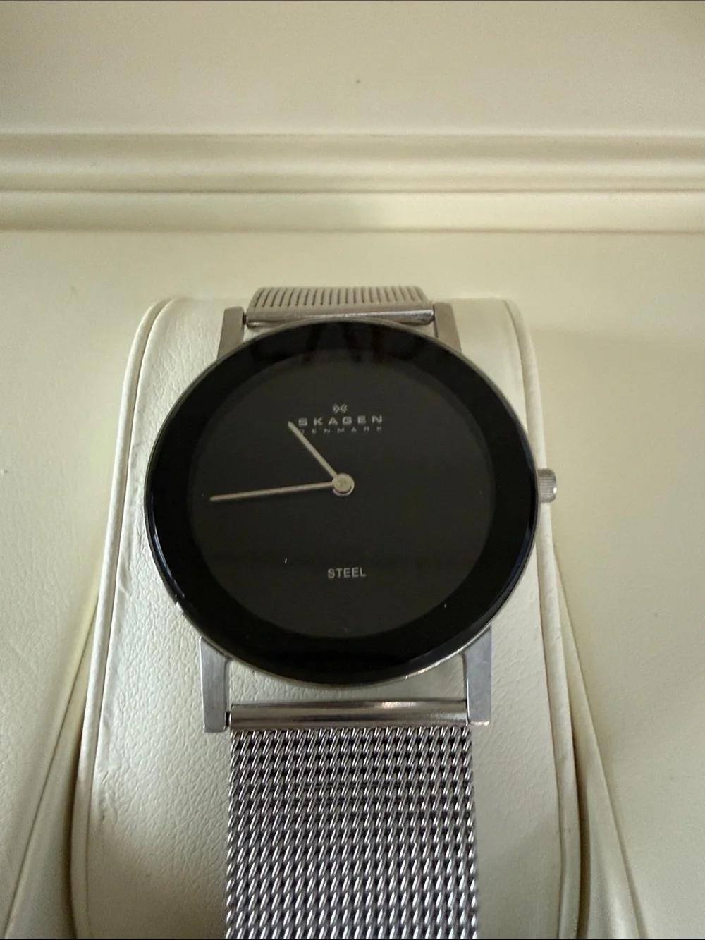 Skagen Silver Mesh Watch with Black Dial
